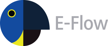 logo_eflow.png